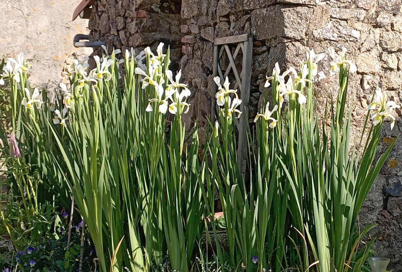 Charmant Gite A La Campagne, Proche Du Puy Du Fou, Les Charmes De Castellariis Pouzauges Dış mekan fotoğraf